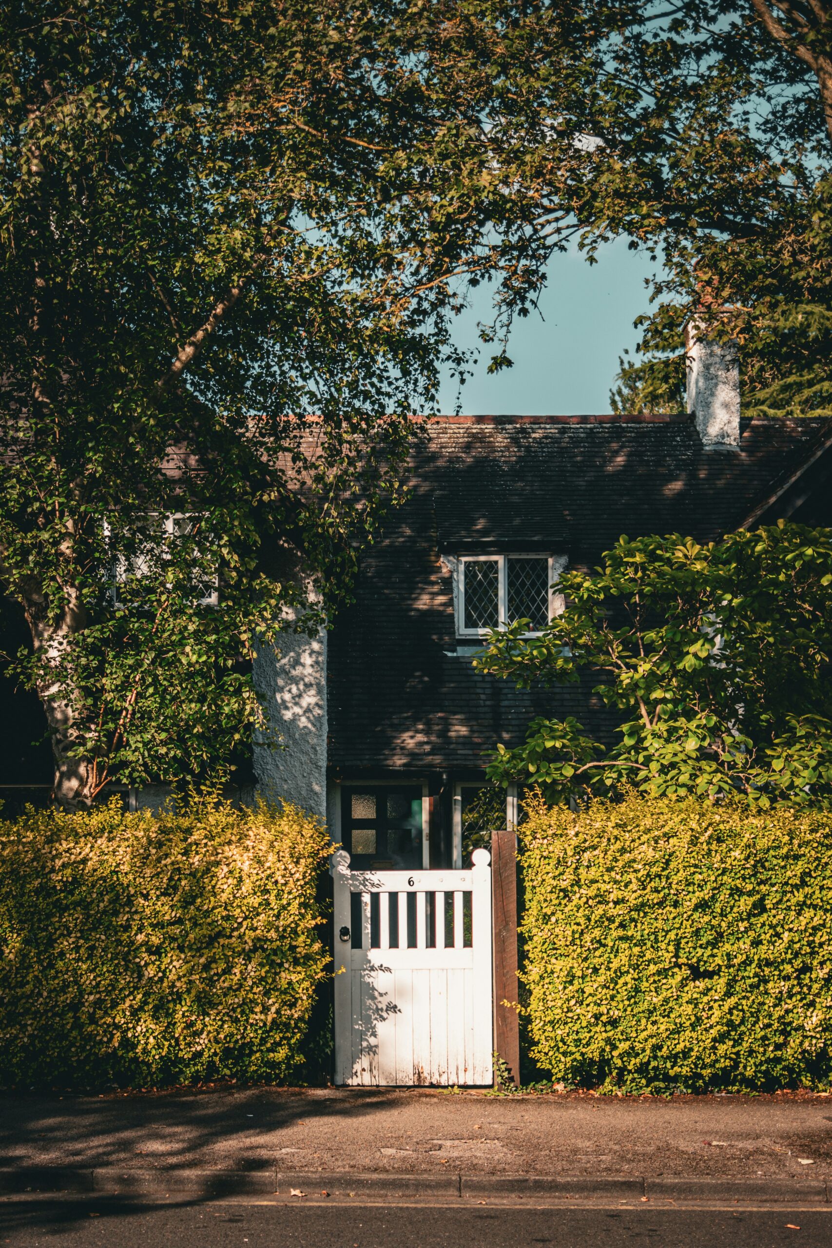 Exterior of a house in Beeston covered with green ivy and other plants growing on its walls, with a small garden in front.